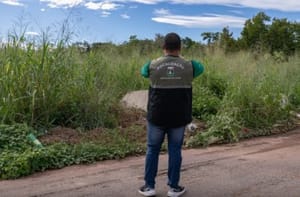 Câmara de Cuiabá aprova notificação eletrônica para donos de terrenos baldios