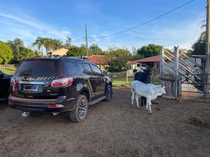 PF faz operação contra grilagem de terras e lavagem de dinheiro e cumpre mandados em MT