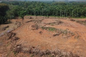 MP denuncia fazendeiros por desmatamentos e pede indenização de R$ 16 milhões