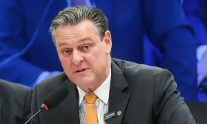 Gripe aviária não deve impactar preço da carne de frango, afirma  ministro