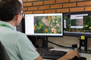 Mato Grosso reduz 43% do desmatamento e lidera ações de fiscalização na Amazônia