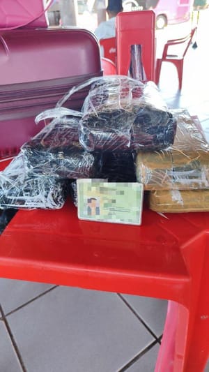 Ação da PM, PRF e PF apreende tabletes de maconha avaliados em R$ 166 mil