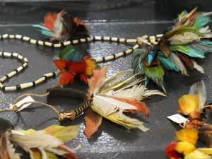 TRF1 mantém decisão que determina reforma da Casa de Saúde Indígena em Cuiabá