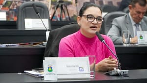 “Cuide de uma criança de verdade”, diz vereadora sobre mães de bebês reborn