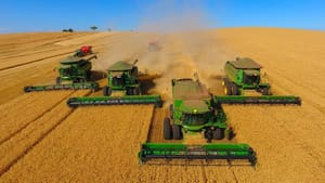 PGE e Defaz bloqueiam mais de R$ 230 milhões de grupo do agro em MT por sonegação fiscal