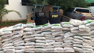 Justiça condena grupo por esquema de R$ 18 milhões em desvio de cargas agrícolas em MT