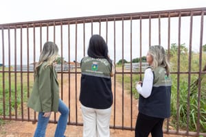 Prefeitura já fiscalizou mais de 1,3 mil terrenos sujos em Cuiabá