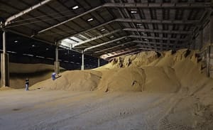 Polícia Federal deflagra operação contra adulteração em cargas de grãos em Mato Grosso e Paraná