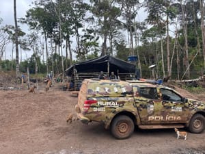 Crianças com idade entre 8 e 12 anos são resgatadas de trabalho infantil e três pessoas são presas