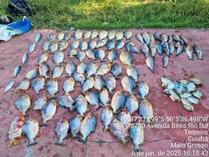 Motorista bêbado é preso pela PM com pescado irregular e multado em R$ 38 mil em Cuiabá
