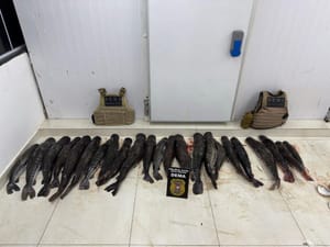 Polícia apreende mais de 100 kg de pescado ilegal escondido em plantação de mandioca