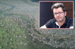 TJ nega prender pecuarista acusado de devastar o Pantanal e rejeita tornozeleira em agrônomo e piloto