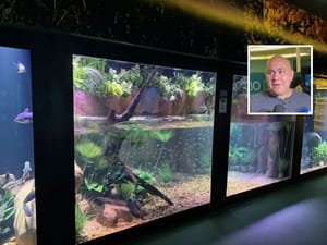 Prefeito volta a defender abertura de CPI para investigar obra do Aquário Municipal de Cuiabá