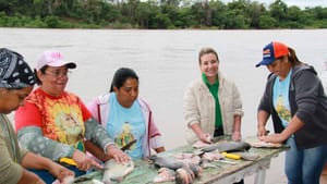 Prefeitura de Várzea Grande divulga  programação da 44° festa de São Pedro; confira