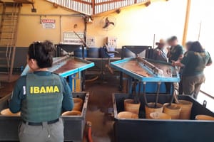 Ibama multa garimpeiros em R$ 20 milhões por uso irregular de mercúrio em Mato Grosso