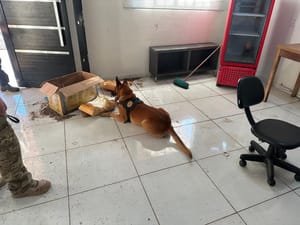 PF faz operação contra tráfico e lavagem de R$ 150 milhões, e prende dois no aeroporto de VG