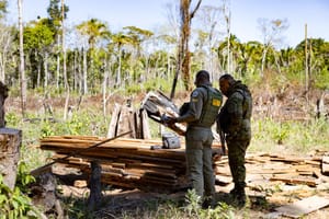 Sema deflagra 127 operações contra crimes ambientais e aplica R$ 1,3 bilhão em multas