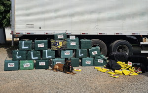 Gefron aumenta em 21% o prejuízo causado às facções criminosas em Mato Grosso