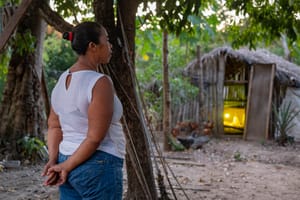 MT abre edital de seleção para agricultores familiares acessarem recursos