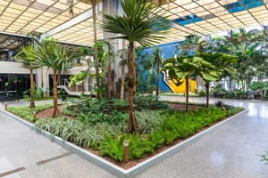 Evento em Cuiabá vai discutir desafios e soluções para agenda climática no setor agrícola