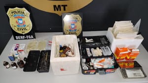 'Veterinário fake' é preso pela PC por castração clandestina de gatos em Mato Grosso