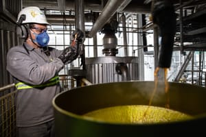 Cuiabá está entre as capitais com maior proporção de empregos verdes do Brasil