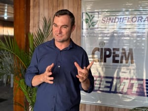 Possível taxação dos Estados Unidos ameaça exportações de madeira de Mato Grosso