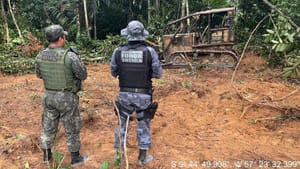 Batalhão Ambiental aplica cerca de R$ 69 milhões em multas no primeiro semestre