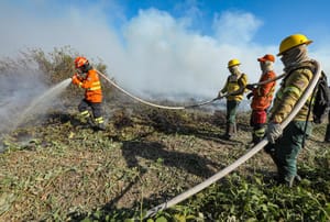 Governo libera R$ 150 milhões  para combater incêndios no Cerrado e Pantanal