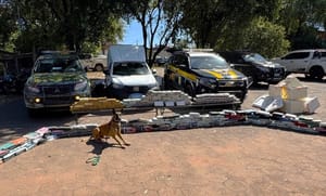 Gefron e PRF apreendem 280 quilos de drogas com auxílio de cão farejador