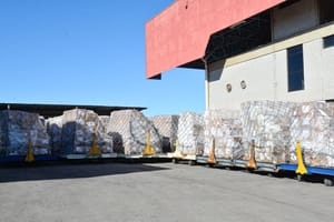 Diversificação de mercados faz de Mato Grosso o 2º Estado menos impactado por tarifa dos EUA