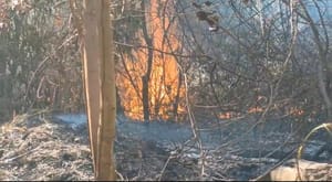 Produtores rurais da Serra de São Vicente se mobilizam para combater incêndios