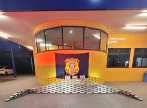 PRF apreende quase 150 kg de cocaína em carga de caroço de algodão na rodovia BR-070