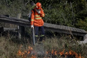 Corpo de Bombeiros extingue 3 incêndios florestais e combate 4 nesta segunda-feira