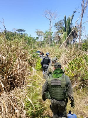 PM fecha área de desmate ilegal em fazenda e prende três homens em flagrante