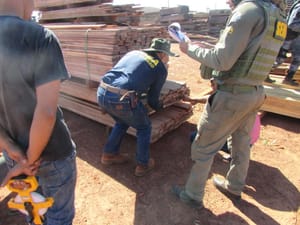 Operação da Sema embarga empreendimentos madeireiros e aplica multa de R$ 70 mil
