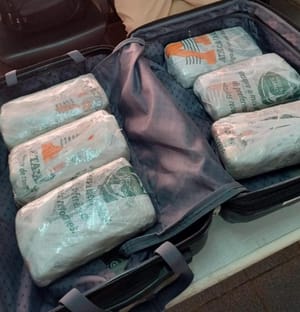 Ação conjunta apreende droga em ônibus que seguia de Cuiabá para Goiânia