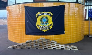 Motorista sem habilitação e mulher são presos com 52 kg de maconha na BR-070 em MT