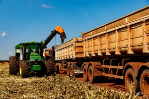 Mato Grosso finaliza colheita da segunda safra de milho com recorde de produção
