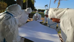 SES investiga de casos de dermatite e identifica ácaro em praças, parques e pistas