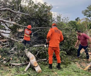 Temporal causa estragos e mobiliza equipe do Corpo de Bombeiros em município de MT
