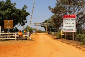 Parceria entre bombeiros e comunidade reduz focos de calor em 95% no Pantanal