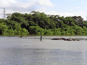 Comunidade celebra a tradição e a cultura ribeirinhas em festa aberta ao público em Cuiabá