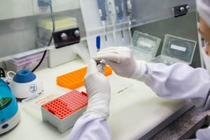 MT identifica nova variante da Covid-19 em Cuiabá, VG e mais dois municípios; vírus já circula no país