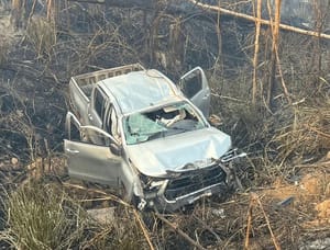 Produtor rural, filho de ex-prefeito morre após árvore atingir caminhonete em fazenda