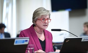 Senadora Margareth Buzetti é indicada para compor a CPMI do INSS