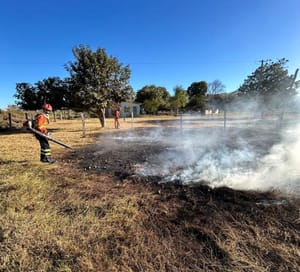 Uso indevido do fogo em propriedades rurais gera R$ 205 milhões em multas em MT