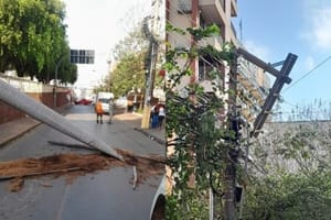 Centro fica sem luz e tem rua interditada após árvore cair e derrubar poste de energia