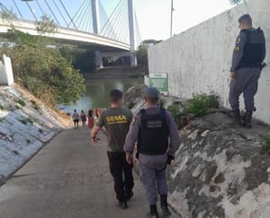 Fiscalização apreende 3,4 toneladas de pescado irregular e aplica R$ 425 mil em multas