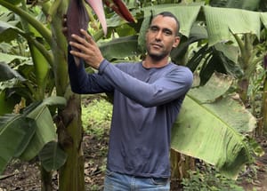 Pequenos agricultores podem receber até R$ 28 mil por ações que preservem floresta